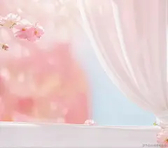 粉色--粉色背景a