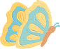 cute butterfly