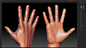 Hand, Chen Wang