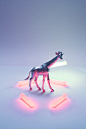 DollarStore on Behance