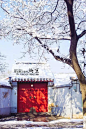 一场故宫雪，惊艳北京城