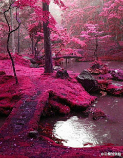 【轶择】采集到大自然风光,场景,城市风景,旅游风景