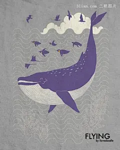 可爱的小鲸鱼图片 10张