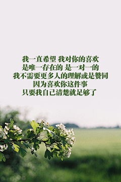 心有猛虎細嗅薔薇采集到兔子RUBBIT