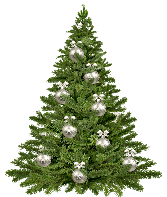 christmas-tree-18535...