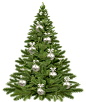 christmas-tree-1853582