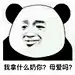 #熊猫头#我拿什么奶你 母爱吗