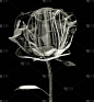 3D玻璃玫瑰
