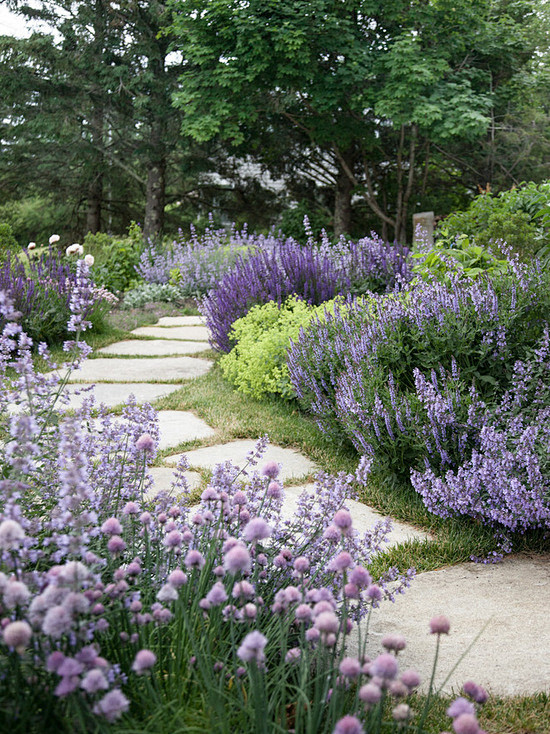 Landscape Design Ide...