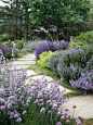 Landscape Design Ideas, Remodels & Photos