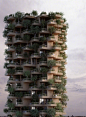 【多伦多的“摩天树塔”】Penda与木材咨询公司合作使用交叉复合木材为加拿大最大的城市设计了18层木结构综合体住宅大楼——‘多伦多树塔’ ​​​​