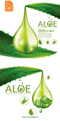 [美工云]Aloe-Moisture芦荟保湿精华化妆品海报Ai矢量源文件下载：