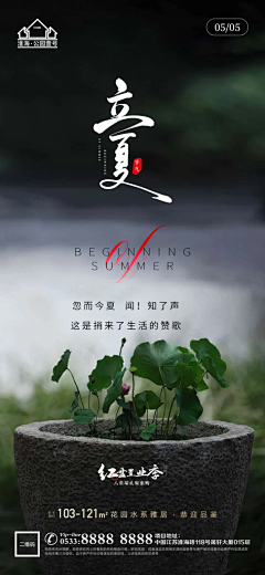 简单li采集到节气海报