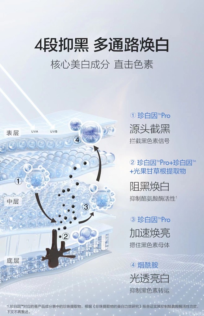 肌肤层结构