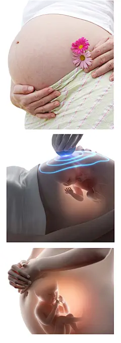 孕妈未来妈妈孕妇锻炼肚子怀胎怀孕母亲母婴海报透明PNG免扣素材-淘宝网