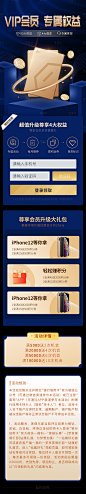 【源文件下载】 专题设计 vip 会员 特权 权益 宣传 蓝金设计作品 设计图集