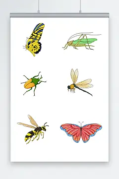 春天蝴蝶蝗虫甲壳虫蜻蜓昆虫元素插画