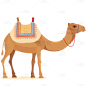 风光系列棕色系插画卡通骆驼通用元素素材