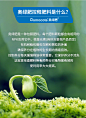 奥绿肥1号生长通用A2多肉植物专用缓释肥318S盆栽花卉植物肥料-tmall.com天猫