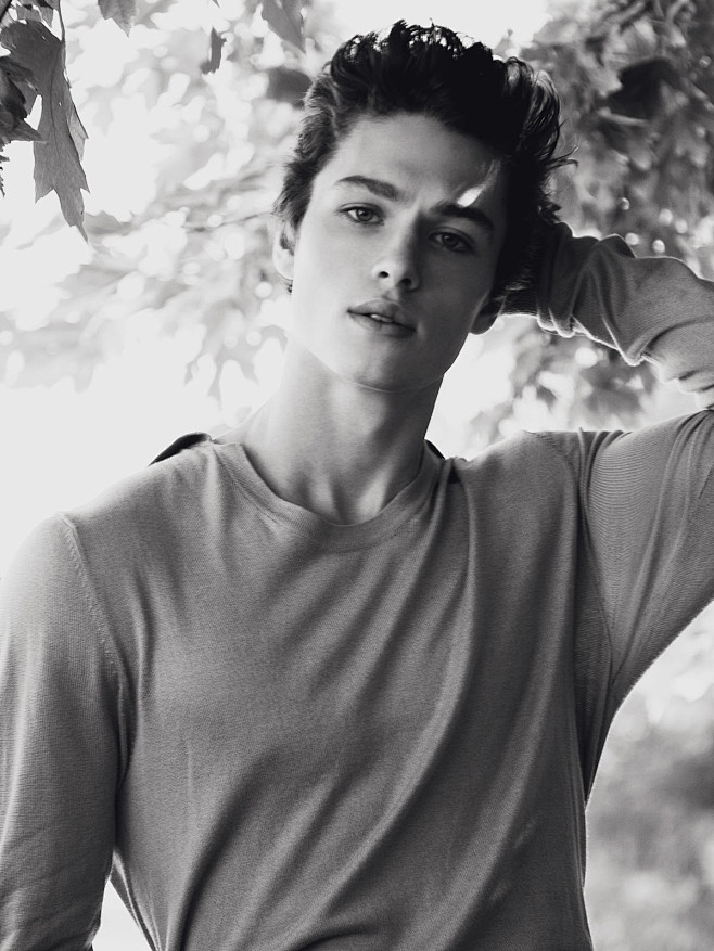 BRANDON LOGIE | TREN...