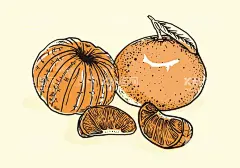 卡通橘子  - 源文件下载【酷图网】卡通橘子,卡通橘子素材,橘子,橘子海报素材,广告,水果,瓶贴,可爱,橘子素材,图片,包装,美味,新鲜,插画,插图,免扣,素材,元素,矢量,卡通,手绘,手绘橘子,标志,logo,简约,图案,图标,橘子插画,矢量橘子,橘子汁,橙色,蜜桔,砂糖橘,小橘子,砂糖桔,金桔,果汁,清新,简笔画,橘子瓣,线稿