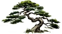 中国风古风传统松树植物元素课本插图 (1)