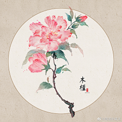 安莫安安采集到喜欢的绘画花