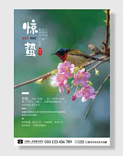 简约二十四节气惊蛰节日海报