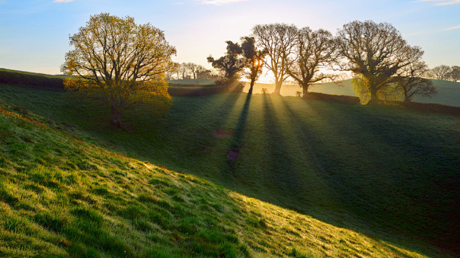 明媚晨曦唯美桌面壁纸1920x1080