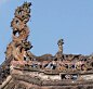 中国古代建筑的鸱吻艺术
