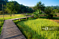 Wooden Walkway through the rice paddy to the village in the morning详情 - 创意图片 - 视觉中国 VCG.COM