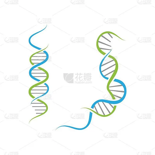 医学DNA矢量图标设计插图素材-花瓣网