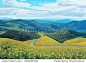 Mexican sunflowers on top of mountain, Thailand, original oil painting 正版图片在线交易平台 - 海洛创意（HelloRF） - 站酷旗下品牌 - Shutterstock中国独家合作伙伴