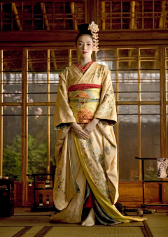 马与驴的骡子采集到和风·艺妓