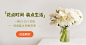 日常上新植物献花海报banner