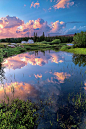 ☀Pond by Jean Day Landscape P...  ~ Pond in Tuolumne Meadows, Yosemite National Park, California. #小清新# #摄影师#