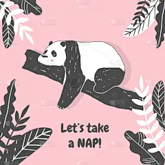可爱的,生日,熊猫,贺卡,请柬,壁纸,模板,小的,问候