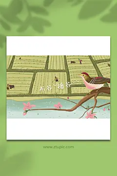 芒种春耕插秧谷雨插画素材-众图网