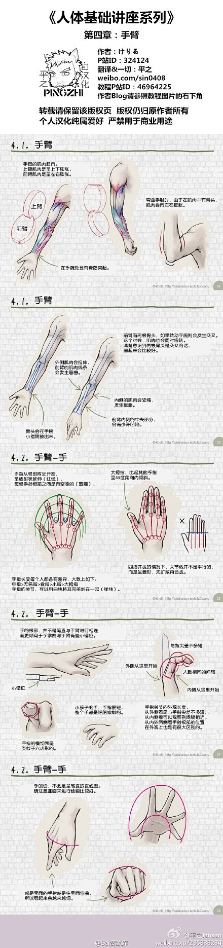 #绘画参考#《人体基础讲座系列》共六章-...