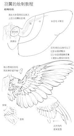 采集图片