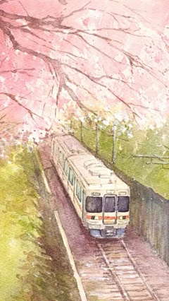 潇朦朦采集到杂绒绒