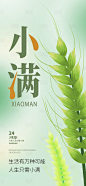 小满二十四节气宣传海报-源文件分享-ywjfx.cn