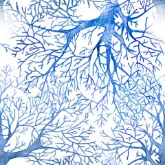 图案 - 搜索结果 - 图虫创意图库正版图片,视频,插图,微博微信公众号配图,自媒体素材