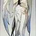 Wings by juuhanna 插画动漫扣扣群：344829568