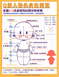 2.5头身Q版结构比例教程（正面、侧面、3/4） - 小红书