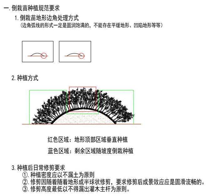 球栽植 (2)