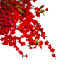 花丛png (3)