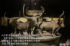 八牛贮贝器，西汉时期... - @开亮君的微博 - 微博