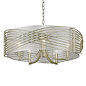 Golden Lighting's Zara 5 Light Chandelier in White Gold #5516-5 WG-SHR