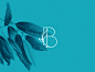 BARRO BLUE on Behance